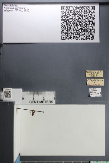 Media type: image;   Entomology 551294